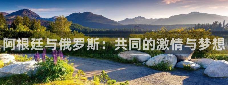 世界杯赛程时间表:阿根廷与俄罗斯:共同的激情与梦想