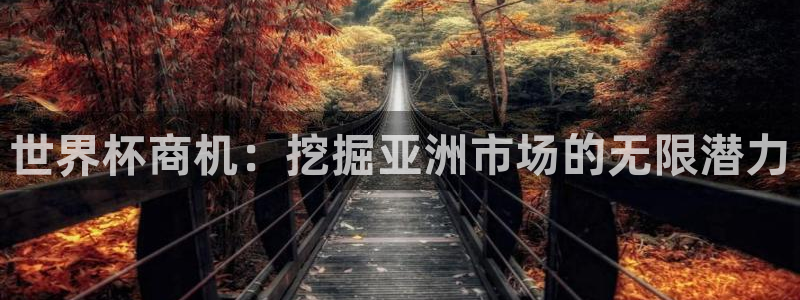 世界杯球队:世界杯商机:挖掘亚洲市场的无限潜力