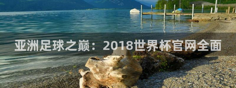 2026年世界杯:亚洲足球之巅:2018世界杯官网全面