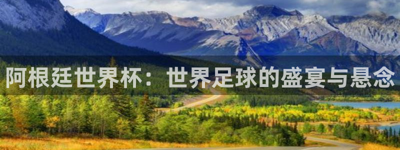 亚洲区世界杯预选赛:阿根廷世界杯:世界足球的盛宴与悬念