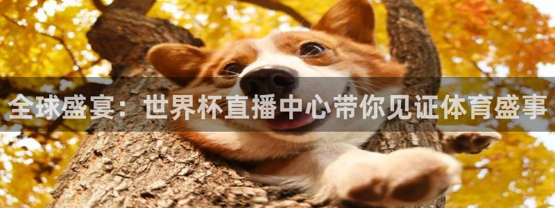 26世界杯:全球盛宴:世界杯直播中心带你见证体育盛事